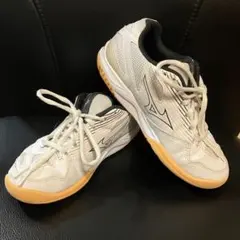 Item thumbnail for item dc49d051-d166-49b4-9d5d-2d5de97925b3