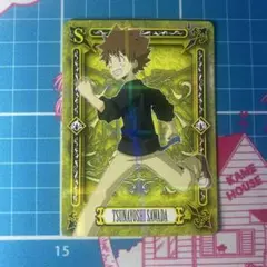 家庭教師ヒットマンリボーン！ サザンクロスバトル 沢田綱吉 ツナ 051 レア