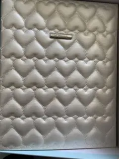 Item thumbnail for item c3dfe197-d6ef-418f-b37c-8542b5344905