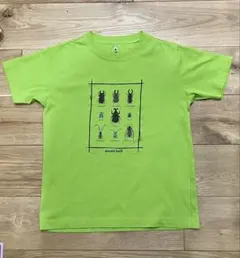 mont-bell モンベル　クワガタ　カブトムシ　昆虫プリント Tシャツ 緑