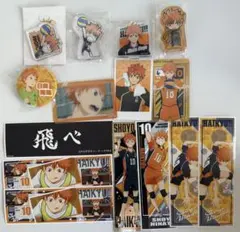 ハイキュー！日向翔陽