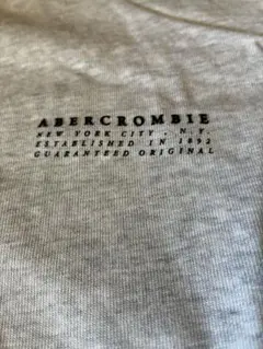 Abercrombie アバクロ　Tシャツ　グレー
