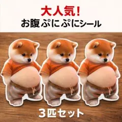 お腹ぷにぷにシール 柴犬 おなかぷくぷくシール 3Dシール 3匹