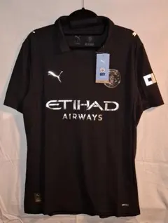 Item thumbnail for item 3844997e-7552-413a-8a58-dcd018b7bd08