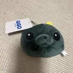 ［明日発送］教育番組
