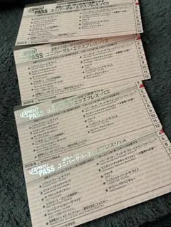 USJ エクスプレスパス 　マリオカート　 ニンテンドーワールド　1枚の価格です