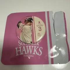 Item thumbnail for item c093bd16-1f93-453c-aeb2-7b41ee0b80c8