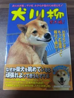 犬川柳 柴犬魂！