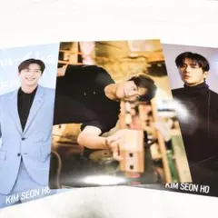 キムソンホ　直筆サイン入りパンフレット　FC限定当選品　キムソノ　김선호 2026年最新】キム・ソンホの人気アイテム - メルカリ