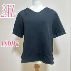 INDIVI ブラック 2XL 半袖カットソー　Vネック　シンプル　カジュアル