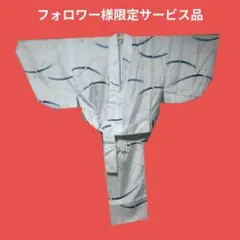 1603 フォロワー様限定サービス品　‼️　二部式夏着物　透け感大のサムネイル