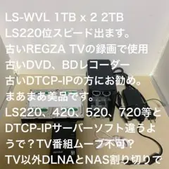 お早い方優先　LS-WVL 1TB x2 2TB 古め録画データにお勧めNASのサムネイル