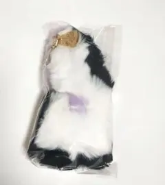 志麻 star まぁる しっぽ