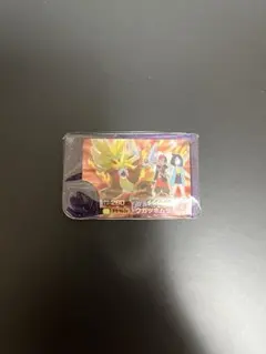 ポケモンフレンダ ウガツホムラ