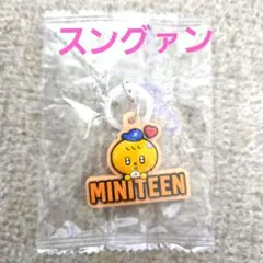 MINITEEN ぷっくりめじるしアクセサリー スングァン　ガチャ