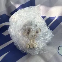 僕のヒーローアカデミア ちょこのっこ 死柄木弔