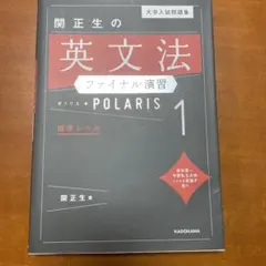 大学入試問題集 関正生の英文法ファイナル演習ポラリス[1 標準レベル]のサムネイル