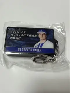 バウアー ビジョンデザイン LED キーホルダー　ベイスターズ