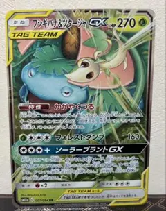 フシギバナ＆ツタージャGX RR SM11a リミックスバウト 001/064