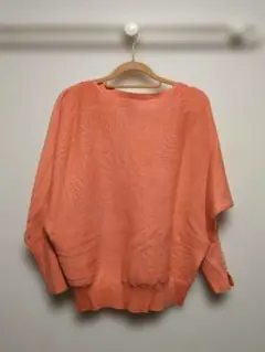 ロペピクニック