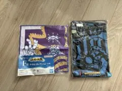 Item thumbnail for item 0c441703-898e-4aa1-b21e-e16539e0d5ca