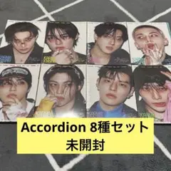 スキズ KARMA Accordion 8種セット