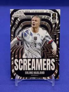 /199 Erling Haaland Panini 2022 ジャージカード 199 Erling Haaland Panini 2022 ジャージカード - メルカリ