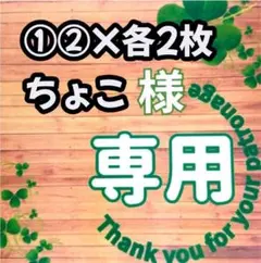 ちょこ様専用 ①②×各2枚