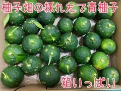柚子畑の採れたて青柚子☆コンパクト3のサムネイル