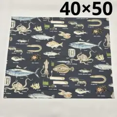 Item thumbnail for item 3fc3b91f-f168-4235-b59c-a830c0ac4873