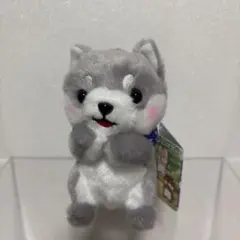 kiyo様 リクエスト 2点 まとめ商品