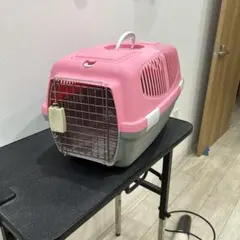 Item thumbnail for item a306ea2d-1a9c-4b1f-800f-1d4f465167ee