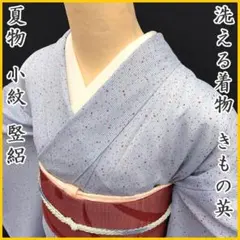 〇【最終値下げ】505mk54〇洗える小紋！ きもの英 夏着物 竪絽 霰 飛沫