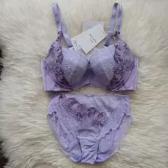 トリンプ　レッドレーベル　天使のブラ0118　定価13100円　021 E75M