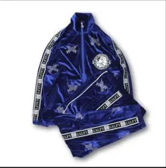 Item thumbnail for item ec76d2d9-ae25-43f9-bfd6-355d3d5de413