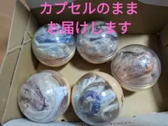 ディズニー40周年 グランドフィナーレ　エコバッグ☆コンプセット