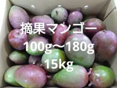 摘果マンゴー　15Kg 摘果マンゴー グリーンマンゴー 青マンゴー 15kg 100〜180g - メルカリ