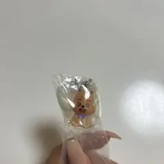 SKZOO めじるしアクセサリー