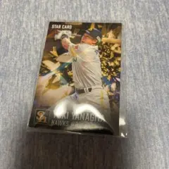 カルビー プロ野球カード 柳田悠岐 STAR CARD