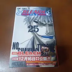 漫画　ブリーチBLEACH 25巻