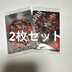 バレーボール　男子日本代表　ウエハース　カード　集合　2枚セット