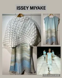 ISSEY MIYAKE ベイクドストレッチ ワンピース ２ 転写のサムネイル