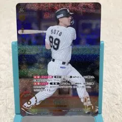 ドリームオーダー　HEROES of 2025 N.ソト
