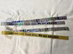 嵐　We are ARASHI 銀テフル2本セット