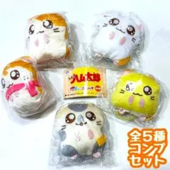 A-21　コンプ　とっとこハム太郎 かぷっこふれんず　全5種　ガチャ　ぬいぐるみ