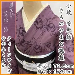 607mk118☆きものやまと 菅原結 漢方染 小紋 クイーンサイズ ふくよか☆のサムネイル
