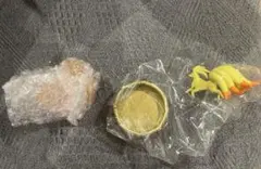 光り輝くしんぴのキセキ キュウコン GEMSTONE COLLECTION