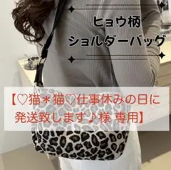 【♡猫＊猫♡仕事休みの日に発送致します♪様専用】ヒョウ柄 ミニバッグ サコッシュ