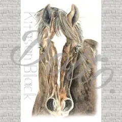 【キタサンブラック】No.53 色鉛筆画 イラスト ポストカード 競走馬 JRA