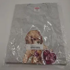 Supreme dust tee Tシャツ グレー medium - メルカリ